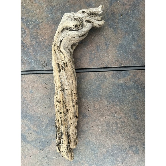 Other - Natural Driftwood for Plants Terrarium Taxidermy Art Projects